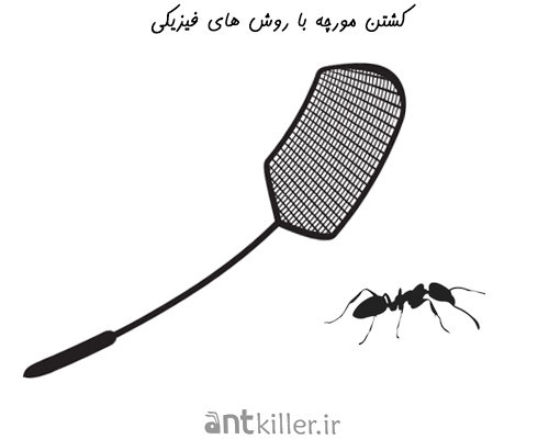 کشتن مورچه با روش های فیزیکی