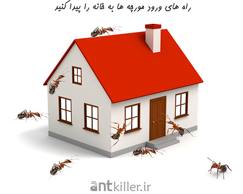 مسدود کردن و یا از بین بردن راه های ورود مورچه به خانه